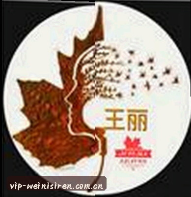 赵刚